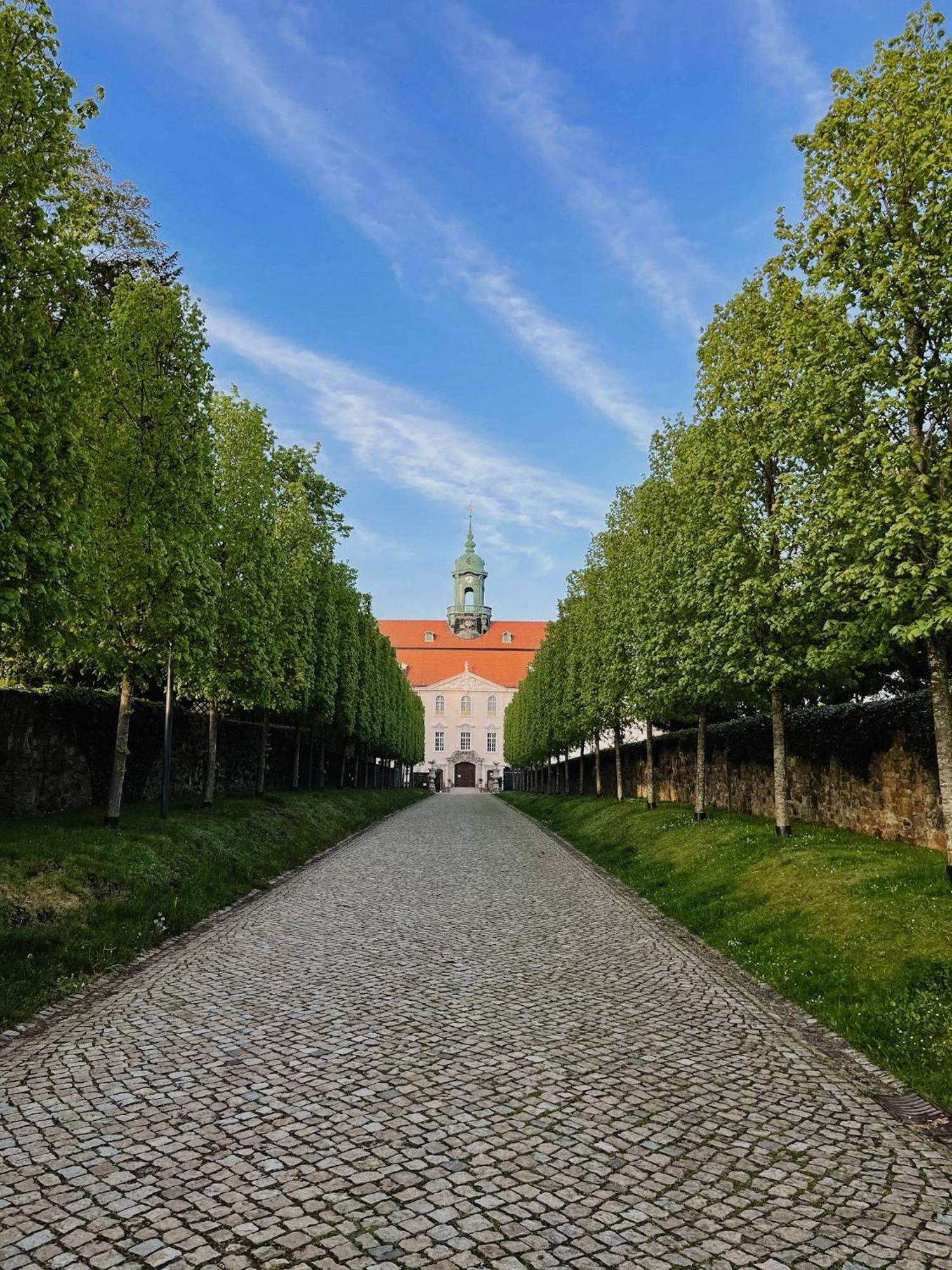 Ferienwohnung Tilda Lichtenwalde 外观 照片